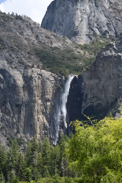 DSC_4361 (Large).JPG